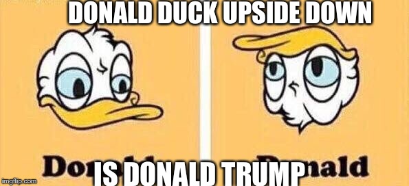 DONALD DUCK UPSIDE DOWN; IS DONALD TRUMP | image tagged in donald duck donald trump | made w/ Imgflip meme maker