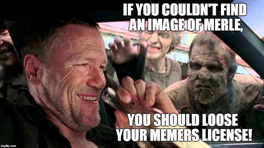 IF YOU COULDN'T FIND AN IMAGE OF MERLE, YOU SHOULD LOOSE YOUR MEMERS LICENSE! | made w/ Imgflip meme maker