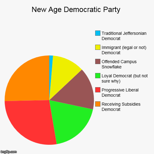 New Age Democratic Party | Receiving Subsidies Democrat, Progressive Liberal Democrat, Loyal Democrat (but not sure why), Offended Campus Sn | image tagged in funny,pie charts | made w/ Imgflip chart maker