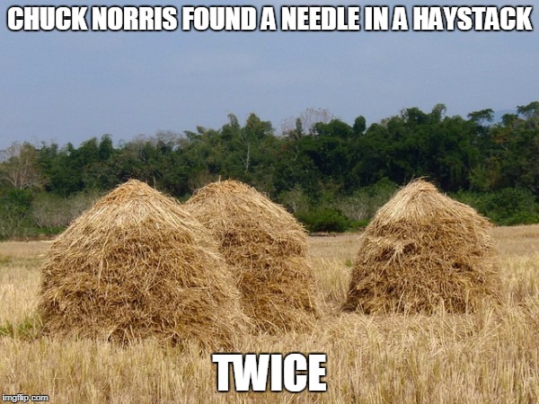 Chuck Norris haystack | CHUCK NORRIS FOUND A NEEDLE IN A HAYSTACK; TWICE | image tagged in haystack,chuck norris,needles,memes | made w/ Imgflip meme maker