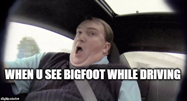 WHEN U SEE BIGFOOT WHILE DRIVING | image tagged in bigfoot | made w/ Imgflip meme maker