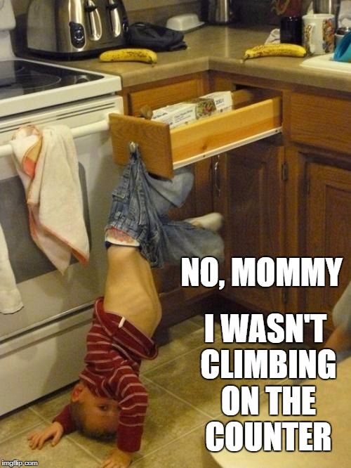 Help Please | I WASN'T CLIMBING ON THE COUNTER; NO, MOMMY | image tagged in help please | made w/ Imgflip meme maker