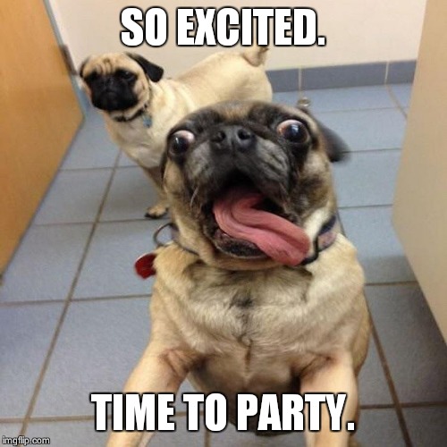 Excited dog | SO EXCITED. TIME TO PARTY. | image tagged in excited dog | made w/ Imgflip meme maker