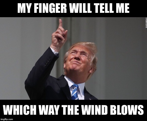 Trump solar eclipse | MY FINGER WILL TELL ME; WHICH WAY THE WIND BLOWS | image tagged in funny memes,memes,donald trump,trump,solar eclipse,eclipse 2017 | made w/ Imgflip meme maker