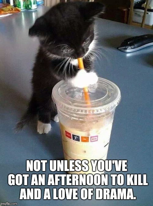 Thirsty kitten | NOT UNLESS YOU'VE GOT AN AFTERNOON TO KILL AND A LOVE OF DRAMA. | image tagged in thirsty kitten | made w/ Imgflip meme maker
