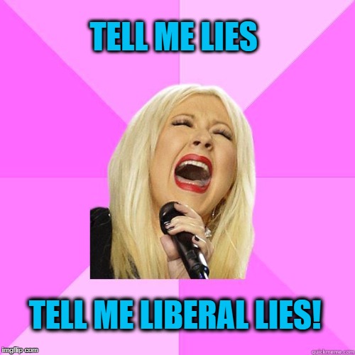 TELL ME LIES TELL ME LIBERAL LIES! | image tagged in karaoke | made w/ Imgflip meme maker