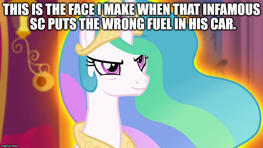 MLP S4E26 Celestia smirks | THIS IS THE FACE I MAKE WHEN THAT INFAMOUS SC PUTS THE WRONG FUEL IN HIS CAR. | image tagged in mlp s4e26 celestia smirks | made w/ Imgflip meme maker