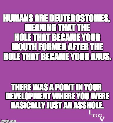 Laughing at bullies | HUMANS ARE DEUTEROSTOMES, MEANING THAT THE HOLE THAT BECAME YOUR MOUTH FORMED AFTER THE HOLE THAT BECAME YOUR ANUS. THERE WAS A POINT IN YOUR DEVELOPMENT WHERE YOU WERE BASICALLY JUST AN ASSHOLE. | image tagged in laughing at bullies | made w/ Imgflip meme maker