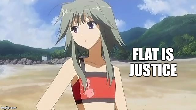 FLAT IS JUSTICE | image tagged in flat is justice | made w/ Imgflip meme maker