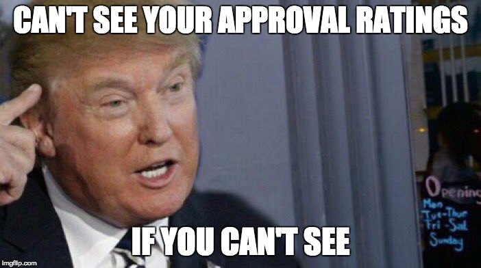 Trump Roll Safe | CAN'T SEE YOUR APPROVAL RATINGS; IF YOU CAN'T SEE | image tagged in trump roll safe | made w/ Imgflip meme maker