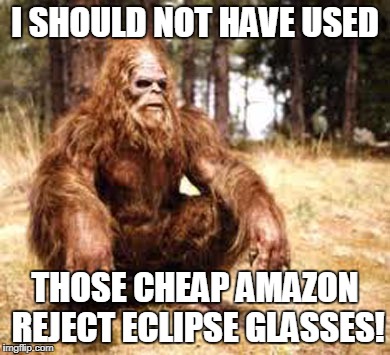 bigfoot | I SHOULD NOT HAVE USED; THOSE CHEAP AMAZON REJECT ECLIPSE GLASSES! | image tagged in bigfoot | made w/ Imgflip meme maker