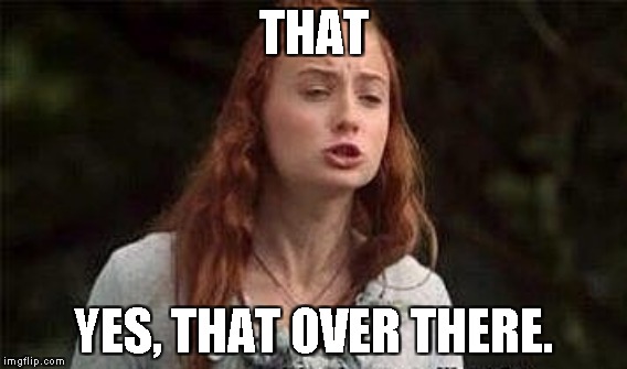 When your hands are full and you have to point at something... | THAT; YES, THAT OVER THERE. | image tagged in pointing,sansa stark,game of thrones,pout,snout | made w/ Imgflip meme maker