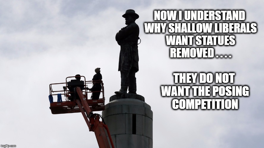 Only Liberals are allowed to POSE | NOW I UNDERSTAND WHY SHALLOW LIBERALS WANT STATUES REMOVED . . . . THEY DO NOT WANT THE POSING COMPETITION | image tagged in liberal logic,politics,political meme,political | made w/ Imgflip meme maker