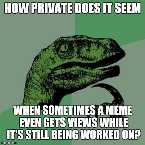 Philosoraptor Meme | HOW PRIVATE DOES IT SEEM WHEN SOMETIMES A MEME EVEN GETS VIEWS WHILE IT'S STILL BEING WORKED ON? | image tagged in memes,philosoraptor | made w/ Imgflip meme maker