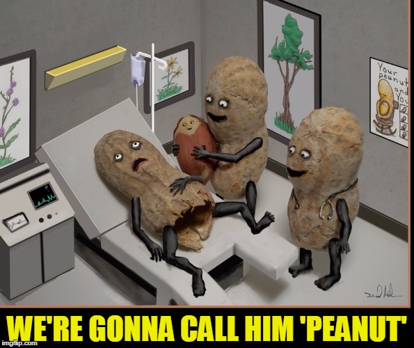 The Pain and yet Fulfillment of Nutbirth | WE'RE GONNA CALL HIM 'PEANUT' | image tagged in vince vance,peanuts,peanut family giving birth,childcare,the moment of birth,pregnancy | made w/ Imgflip meme maker