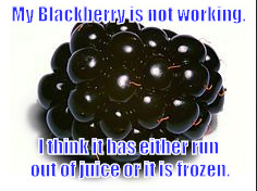 My Blackberry is not working. I think it has either run out of juice or it is frozen. | image tagged in blackberry fruit | made w/ Imgflip meme maker