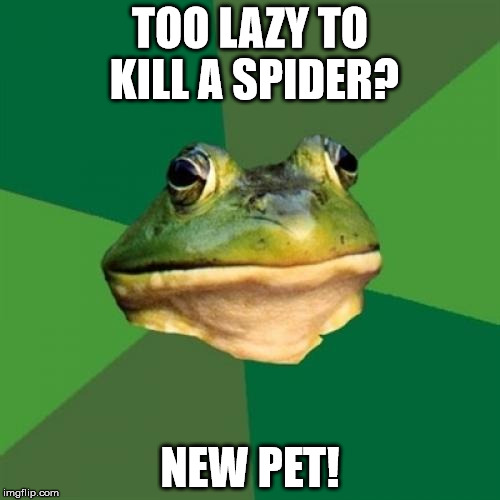 Foul Bachelor Frog Meme |  TOO LAZY TO KILL A SPIDER? NEW PET! | image tagged in memes,foul bachelor frog | made w/ Imgflip meme maker