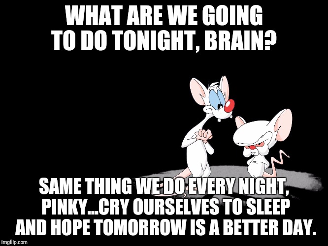 Pinky And The Brain | WHAT ARE WE GOING TO DO TONIGHT, BRAIN? SAME THING WE DO EVERY NIGHT, PINKY...CRY OURSELVES TO SLEEP AND HOPE TOMORROW IS A BETTER DAY. | image tagged in pinky and the brain | made w/ Imgflip meme maker