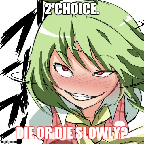 2 CHOICE. DIE OR DIE SLOWLY? | image tagged in touhou,funny,yuuka kazami | made w/ Imgflip meme maker