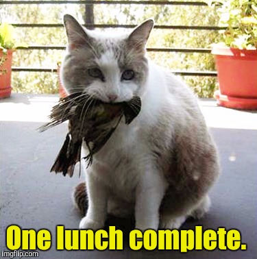 One lunch complete. | made w/ Imgflip meme maker