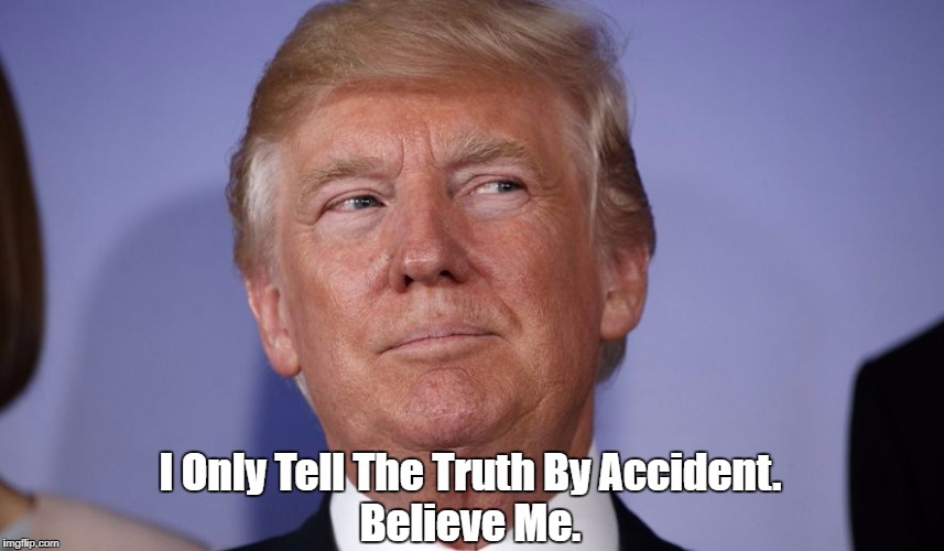 I Only Tell The Truth By Accident. Believe Me. | made w/ Imgflip meme maker