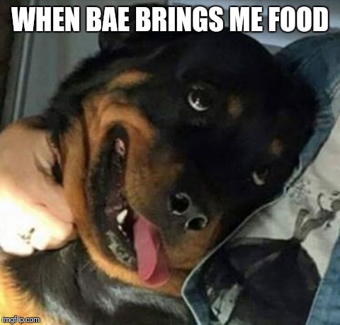 WHEN BAE BRINGS ME FOOD | image tagged in memes | made w/ Imgflip meme maker