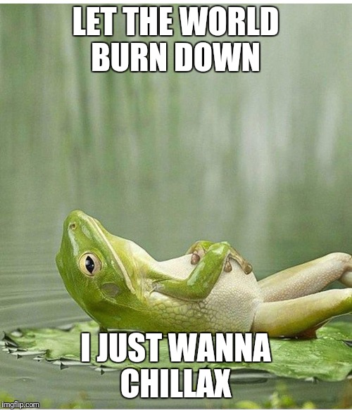 Philosopher Frogster | LET THE WORLD BURN DOWN; I JUST WANNA CHILLAX | image tagged in philosopher frogster | made w/ Imgflip meme maker