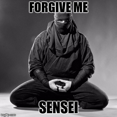 FORGIVE ME SENSEI | image tagged in ninja | made w/ Imgflip meme maker