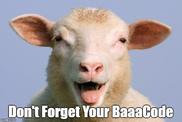 Derp Sheep | Don't Forget Your BaaaCode | image tagged in derp sheep | made w/ Imgflip meme maker