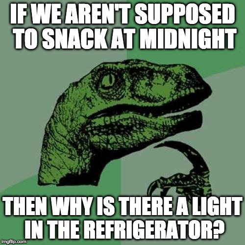 yeah?! | IF WE AREN'T SUPPOSED TO SNACK AT MIDNIGHT; THEN WHY IS THERE A LIGHT IN THE REFRIGERATOR? | image tagged in memes,philosoraptor,iwanttobebacon,iwanttobebaconcom | made w/ Imgflip meme maker
