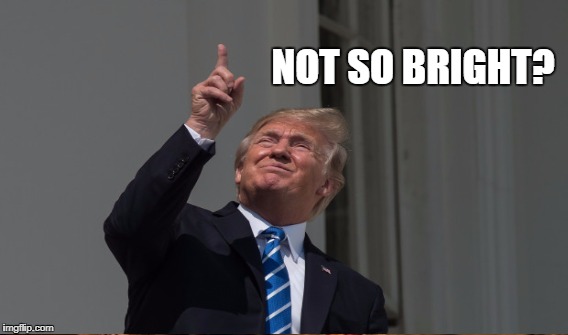 Demonstrably Dumb | NOT SO BRIGHT? | image tagged in trump,potus,eclipse | made w/ Imgflip meme maker