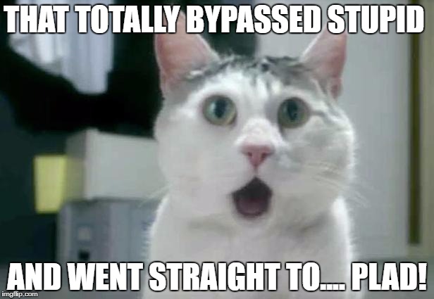 OMG Cat Meme | THAT TOTALLY BYPASSED STUPID; AND WENT STRAIGHT TO.... PLAD! | image tagged in memes,omg cat | made w/ Imgflip meme maker