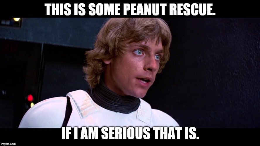 luke skywalker rescue | THIS IS SOME PEANUT RESCUE. IF I AM SERIOUS THAT IS. | image tagged in luke skywalker rescue | made w/ Imgflip meme maker