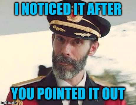 Captain Obvious | I NOTICED IT AFTER YOU POINTED IT OUT | image tagged in captain obvious | made w/ Imgflip meme maker