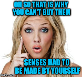 OH SO THAT IS WHY YOU CAN'T BUY THEM SENSES HAD TO BE MADE BY YOURSELF | made w/ Imgflip meme maker