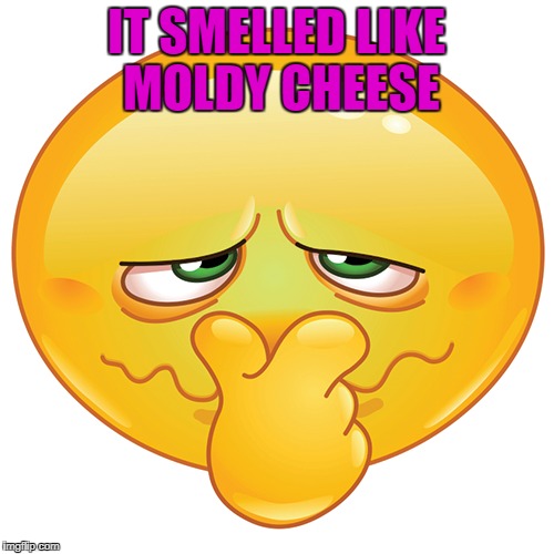 IT SMELLED LIKE MOLDY CHEESE | made w/ Imgflip meme maker