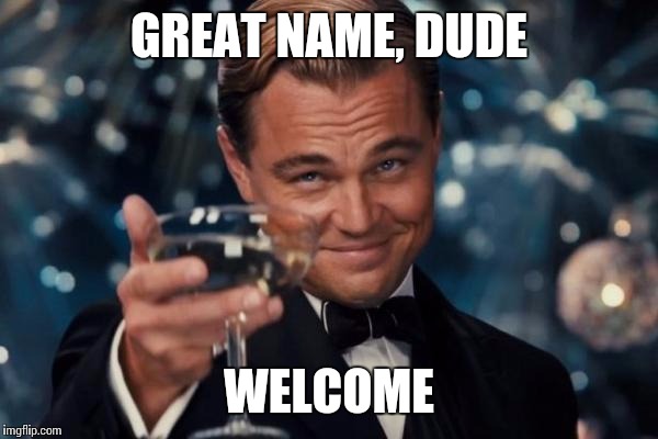 Leonardo Dicaprio Cheers Meme | GREAT NAME, DUDE WELCOME | image tagged in memes,leonardo dicaprio cheers | made w/ Imgflip meme maker