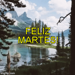 martes | FELIZ  MARTES! | image tagged in gifs | made w/ Imgflip video-to-gif maker