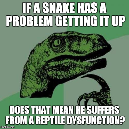 Philosoraptor | IF A SNAKE HAS A PROBLEM GETTING IT UP; DOES THAT MEAN HE SUFFERS FROM A REPTILE DYSFUNCTION? | image tagged in memes,philosoraptor | made w/ Imgflip meme maker