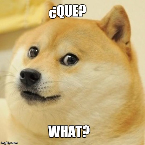 Doge Meme | ¿QUE? WHAT? | image tagged in memes,doge | made w/ Imgflip meme maker