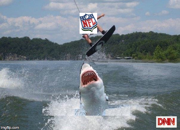 image tagged in shark week | made w/ Imgflip meme maker