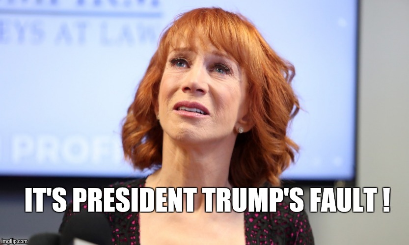 IT'S PRESIDENT TRUMP'S FAULT ! | image tagged in it was just a joke | made w/ Imgflip meme maker
