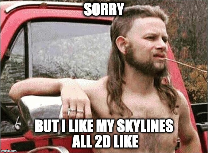 Redneck | SORRY; BUT I LIKE MY SKYLINES ALL 2D LIKE | image tagged in redneck | made w/ Imgflip meme maker