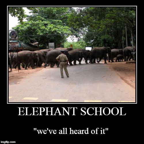 Sign Up The Elephant  | image tagged in funny,demotivationals,elephants | made w/ Imgflip demotivational maker