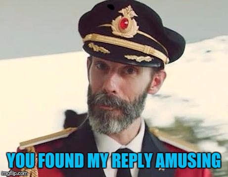 Captain Obvious | YOU FOUND MY REPLY AMUSING | image tagged in captain obvious | made w/ Imgflip meme maker