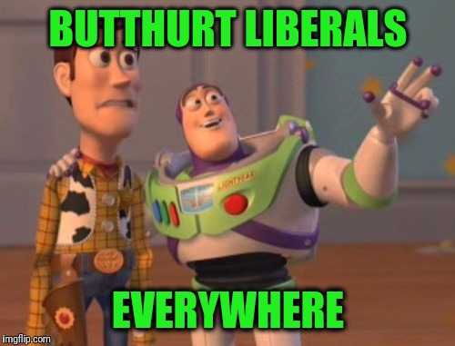 X, X Everywhere Meme | BUTTHURT LIBERALS EVERYWHERE | image tagged in memes,x x everywhere | made w/ Imgflip meme maker