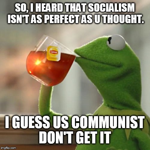 But That's None Of My Business | SO, I HEARD THAT SOCIALISM ISN'T AS PERFECT AS U THOUGHT. I GUESS US COMMUNIST DON'T GET IT | image tagged in memes,but thats none of my business,kermit the frog | made w/ Imgflip meme maker