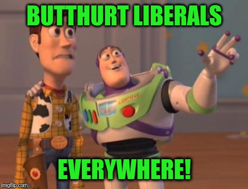 X, X Everywhere Meme | BUTTHURT LIBERALS EVERYWHERE! | image tagged in memes,x x everywhere | made w/ Imgflip meme maker