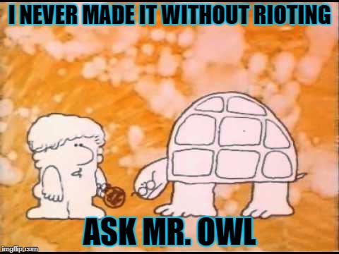 I NEVER MADE IT WITHOUT RIOTING ASK MR. OWL | made w/ Imgflip meme maker