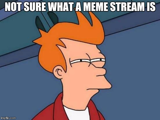 Futurama Fry | NOT SURE WHAT A MEME STREAM IS | image tagged in memes,futurama fry | made w/ Imgflip meme maker